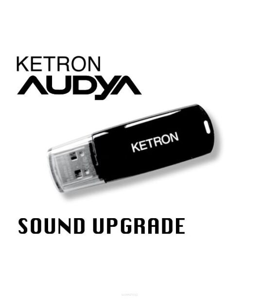 Ketron Pendrive 2010 SOUND UPGRADE - pendrive z dodatkowymi stylami AUDYA