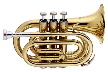 Stagg WS-TR245S - trąbka "kieszonkowa” Bb